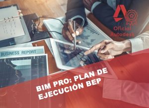 Curso Plan ejecución BEP