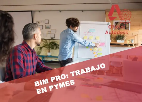 BIM Pro para futuros BIM Managers: Implantación BIM y Organización real del trabajo en PYMES