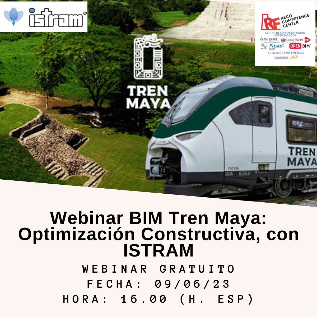 BIM Tren Maya Optimización Constructiva. (1)