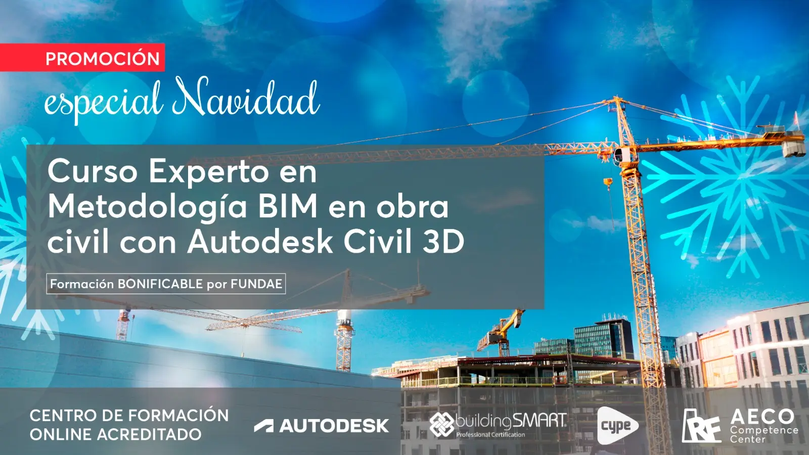 Experto Civil 3D Navidad